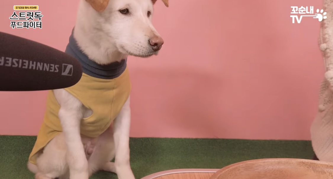 [잡담] 맨 손으로 생닭 껍질 벗기는 여돌 너무 대단하잖아 | 인스티즈