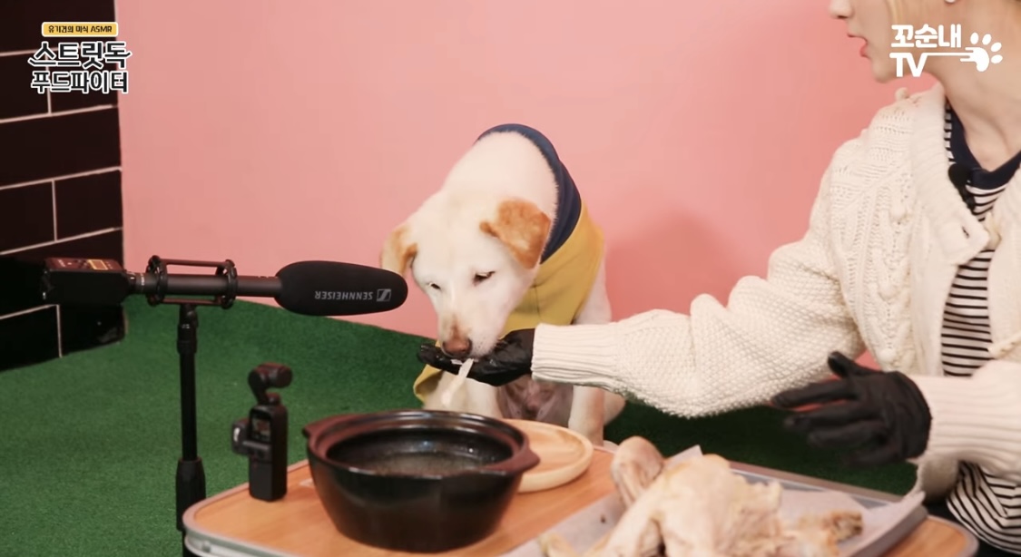 [잡담] 맨 손으로 생닭 껍질 벗기는 여돌 너무 대단하잖아 | 인스티즈