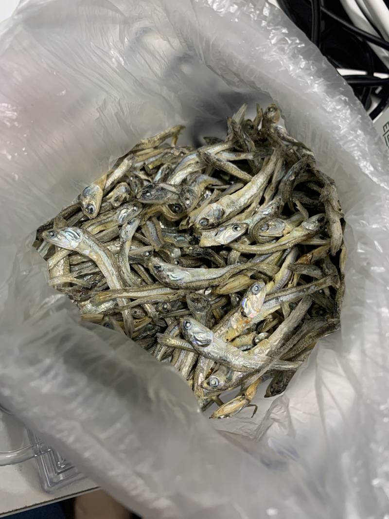 멸치 이 상태면 머리랑 똥 다 떼고 먹어야 하나? (멸치 사진 있듬) | 인스티즈