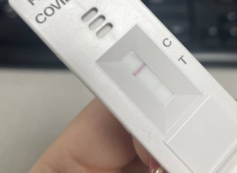 코로나 자가진단 봐줄사람 ㅠㅠ | 인스티즈