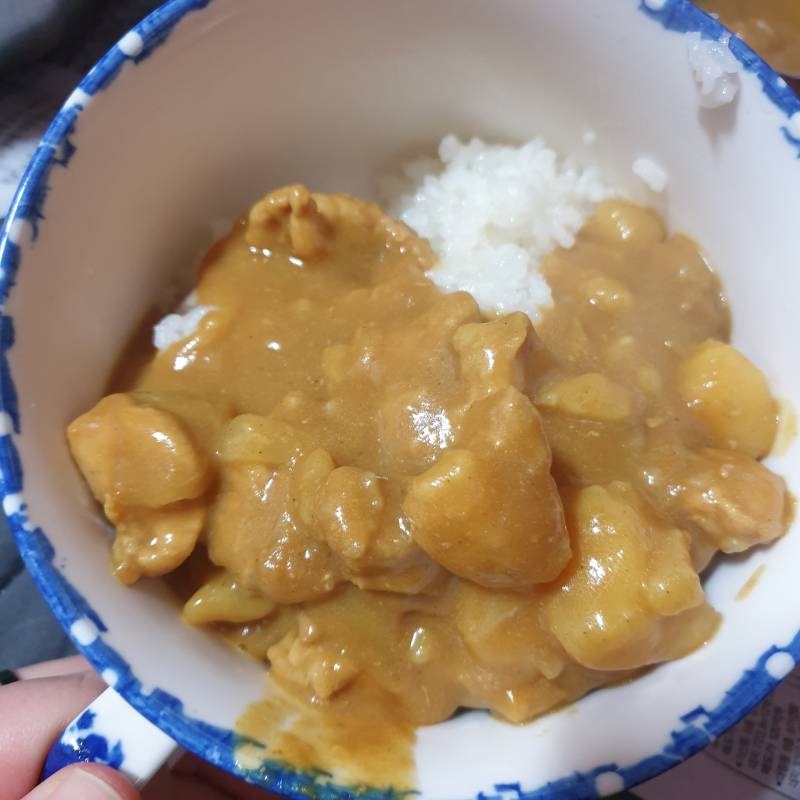 동생이 카레 먹고 싶다고 해서 고기 듬뿍 넣어서 만들었다 | 인스티즈