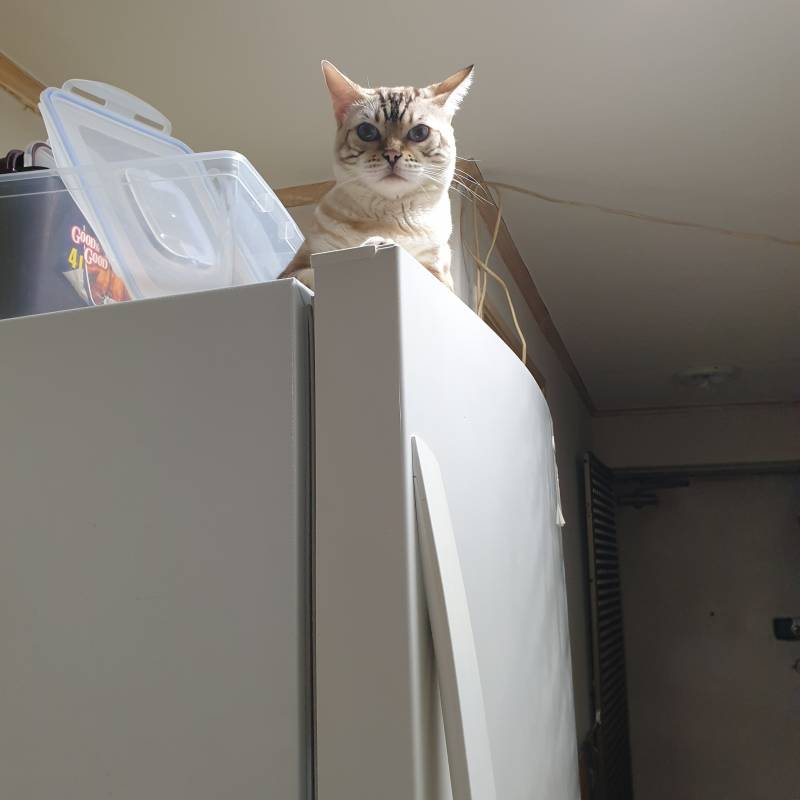 설거지 잘 하는지 감시중!! | 인스티즈