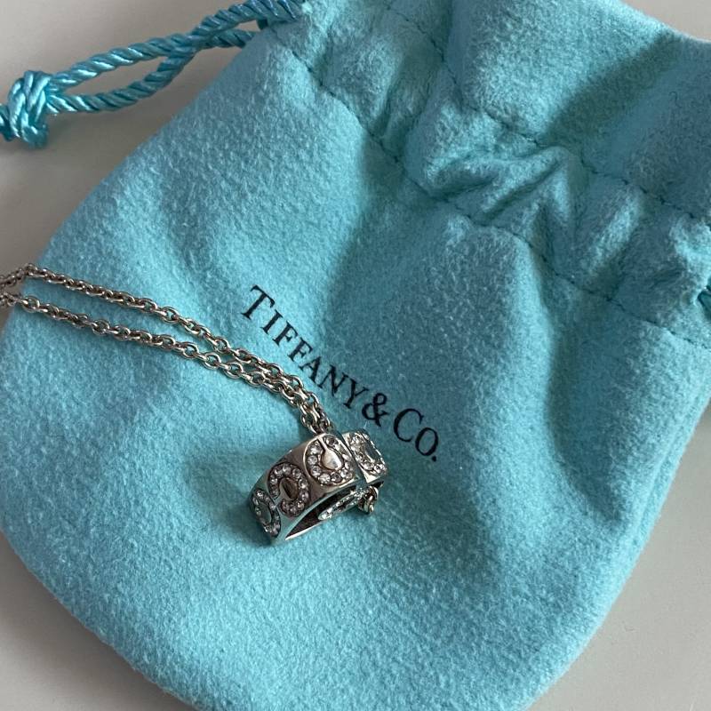 티파니 앤코 목걸이 잘 아는 사람? 혹시 이건 제품명이 뭐야? | 인스티즈
