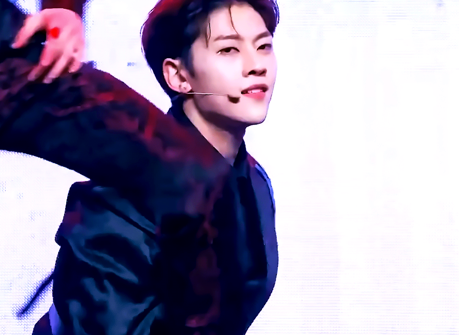 [잡담] 석매튜 보고 자기가 곰인줄 아는 여우라는거..?? | 인스티즈