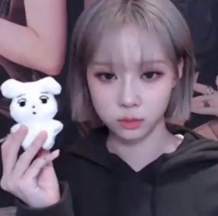 [잡담] 에스파 윈터 팬이 만든 인형이랑 싱크로율 100퍼임 ㅋㅋㅋㅋㅋㅋ | 인스티즈