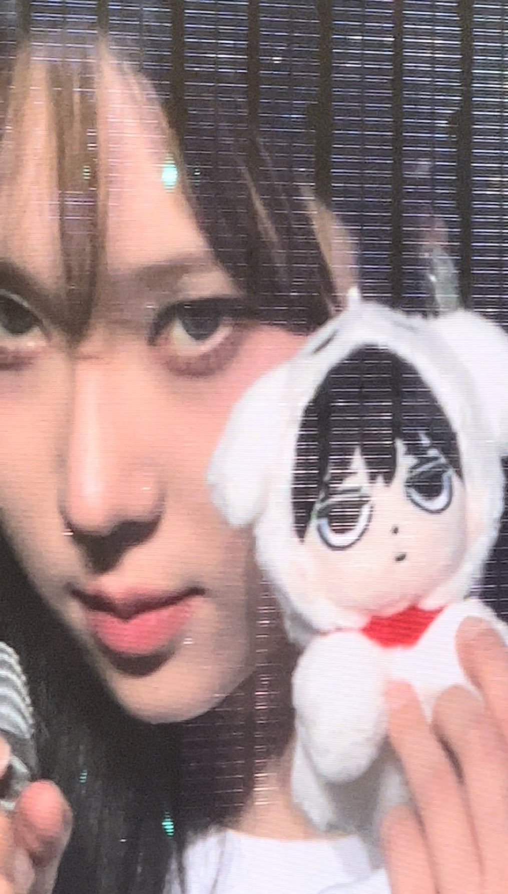 [잡담] 에스파 윈터 팬이 만든 인형이랑 싱크로율 100퍼임 ㅋㅋㅋㅋㅋㅋ | 인스티즈