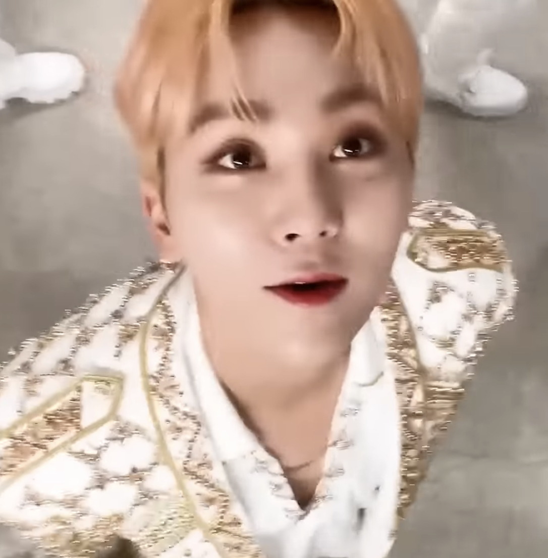 [잡담] 승관이 고양이 맞어 | 인스티즈