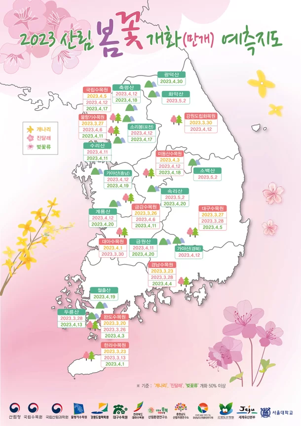 🌷2023 봄꽃 개화 예측 지도🌸 | 인스티즈