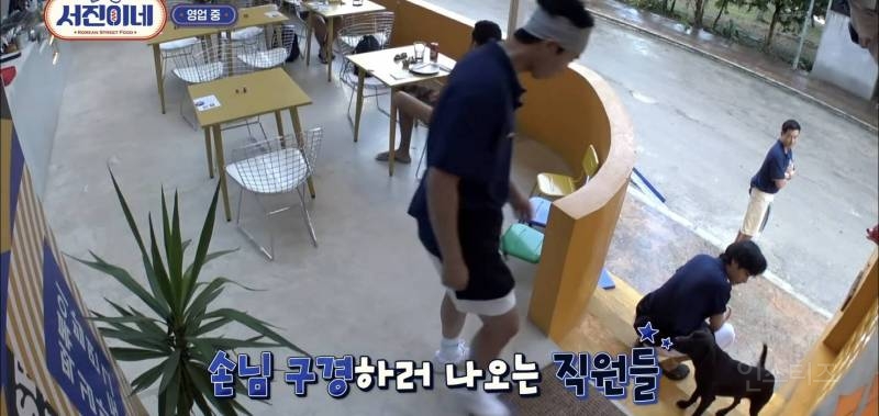 유기견이 식당에 들어와도 신경 안 쓰는 문화를 보고 배워야 하는 이유 | 인스티즈