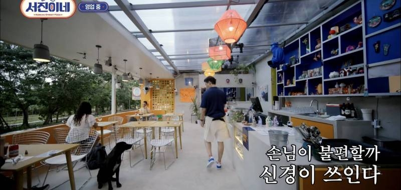 유기견이 식당에 들어와도 신경 안 쓰는 문화를 보고 배워야 하는 이유 | 인스티즈