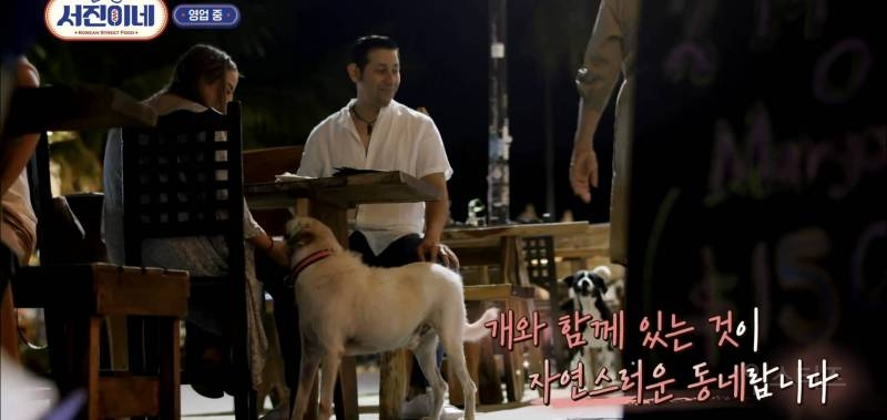 유기견이 식당에 들어와도 신경 안 쓰는 문화를 보고 배워야 하는 이유 | 인스티즈