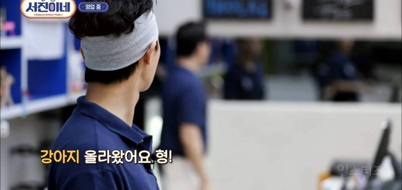 유기견이 식당에 들어와도 신경 안 쓰는 문화를 보고 배워야 하는 이유 | 인스티즈