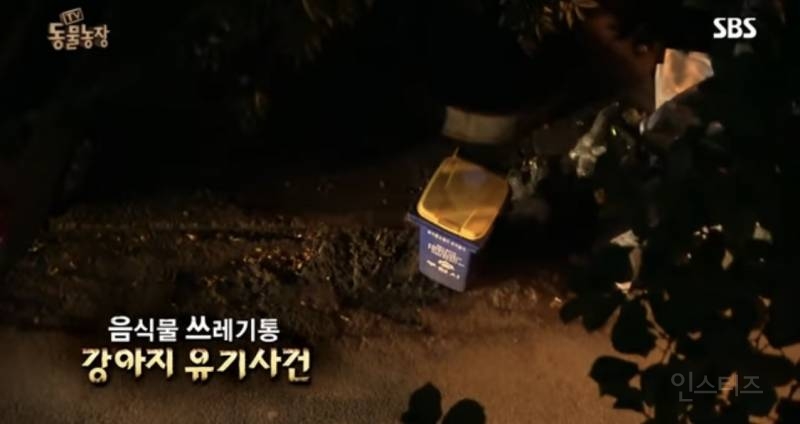 유기견이 식당에 들어와도 신경 안 쓰는 문화를 보고 배워야 하는 이유 | 인스티즈