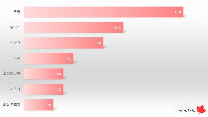 유기견이 식당에 들어와도 신경 안 쓰는 문화를 보고 배워야 하는 이유 | 인스티즈