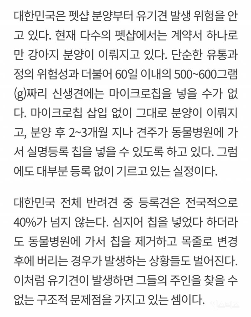 유기견이 식당에 들어와도 신경 안 쓰는 문화를 보고 배워야 하는 이유 | 인스티즈
