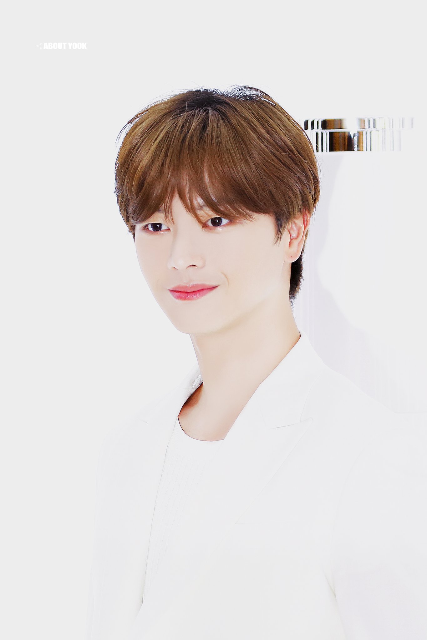 [잡담] 우유 케이크 라길래 왜지 ? 했는데 보자마자 바로 납득 | 인스티즈