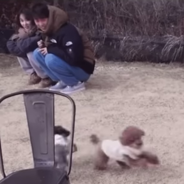 [잡담] 아 성해은 브이로그에 전종서랑 남자친구 찍힌거 뭐야ㅋㅋㅋㅋㅋㅋㅋㅋ | 인스티즈