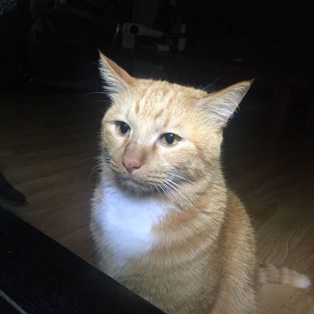 [잡담] 나 박건욱 플뷰 뜰 때까지 안 잔다 | 인스티즈