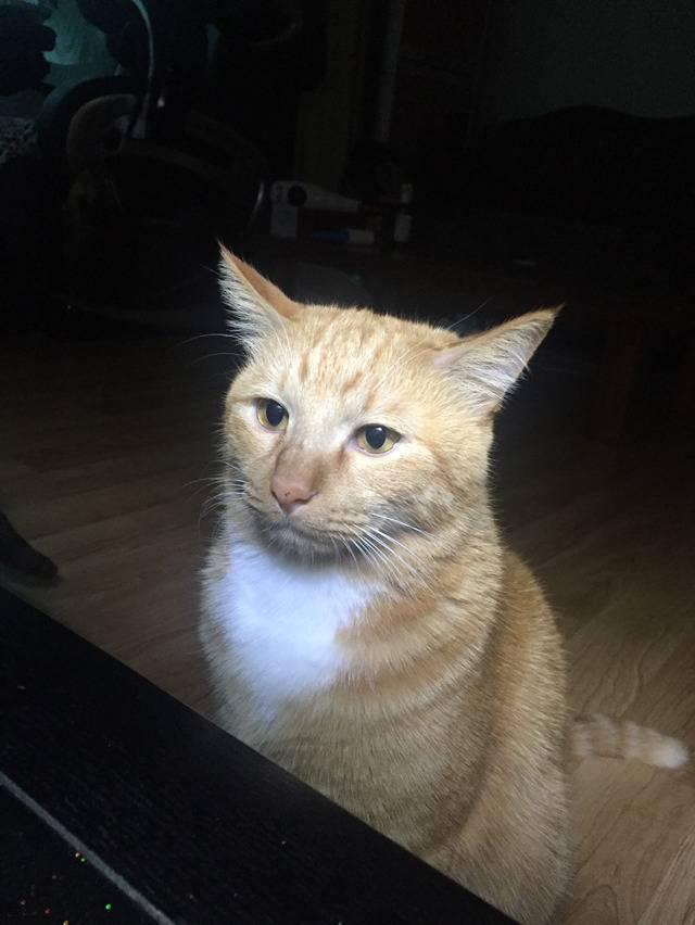 [잡담] 미쳤나 새벽2시네 | 인스티즈