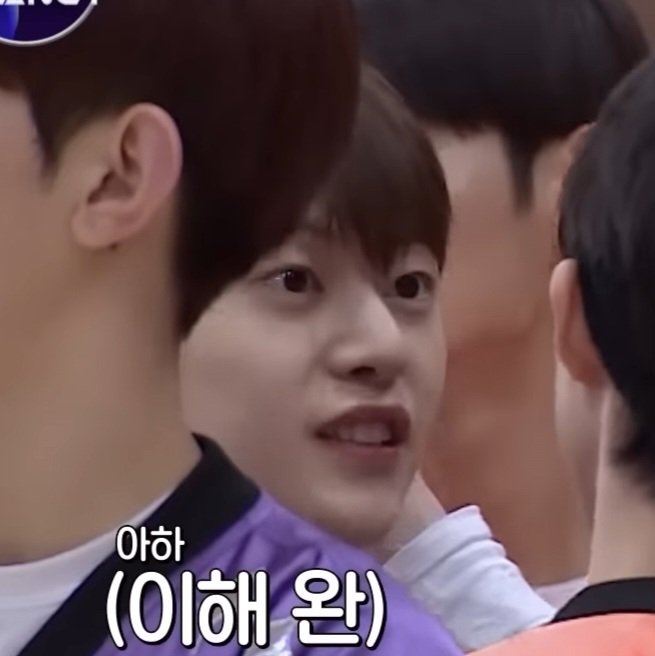 [잡담] 나 석류단. 오늘부로 여우파 탈퇴한다 | 인스티즈