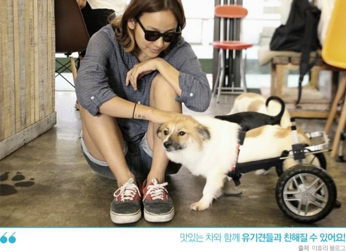 이효리랑 한 4세대 여자 아이돌 그룹 사이의 관계성 | 인스티즈