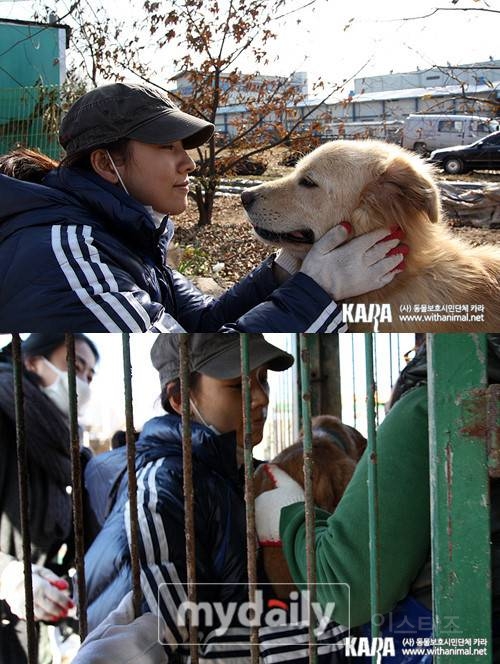 이효리랑 한 4세대 여자 아이돌 그룹 사이의 관계성 | 인스티즈