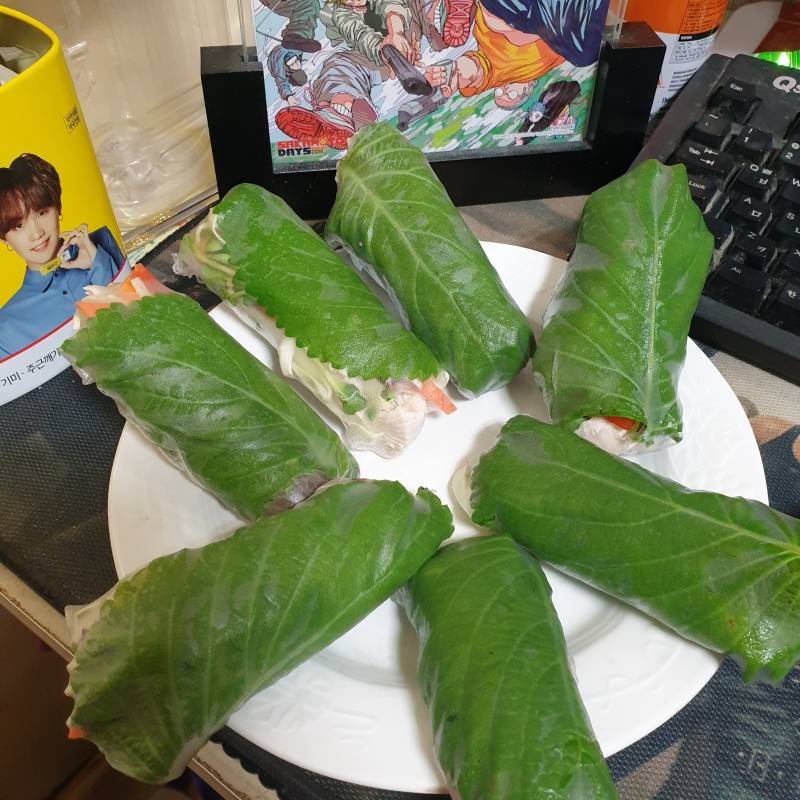 월남쌈 만드는데 고양이가 방해하네 | 인스티즈