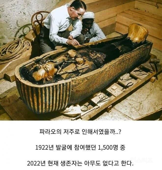 이집트 파라오의 저주가 진짜라는 증거 | 인스티즈