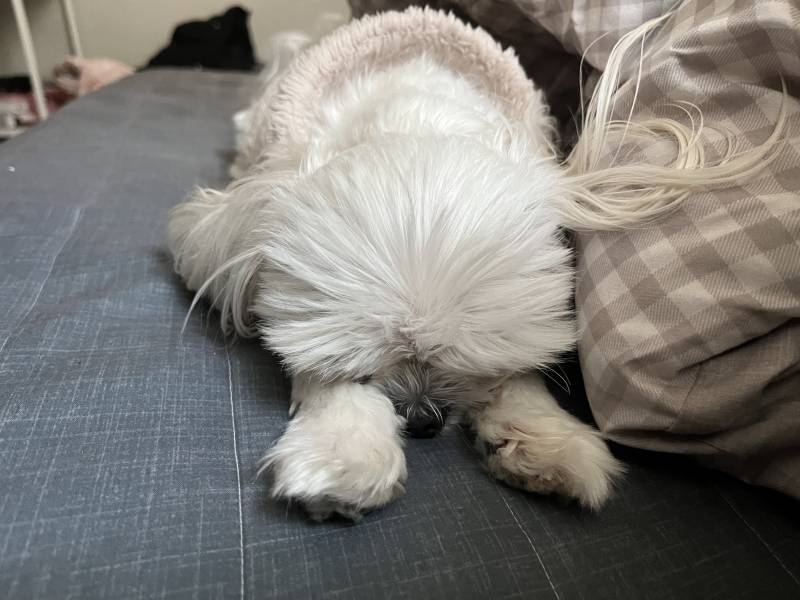 왜 그러고 자는 거여... | 인스티즈