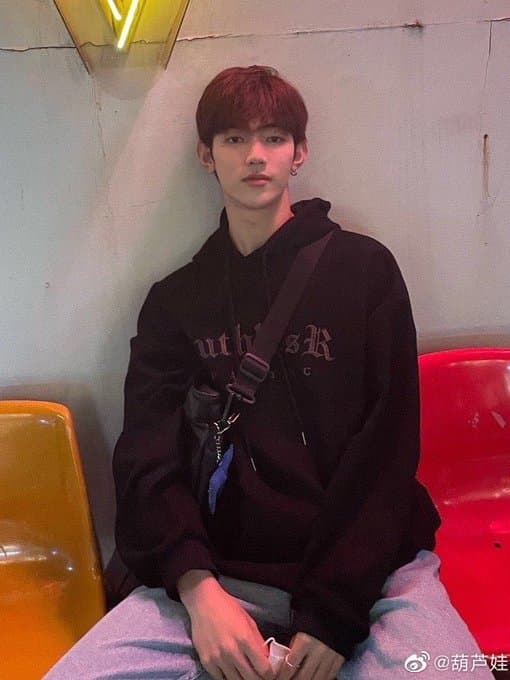 [잡담] 장하오 과사 이 셋 중에 자기스타일 골라 봐 | 인스티즈