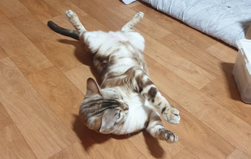 애기 모해 | 인스티즈