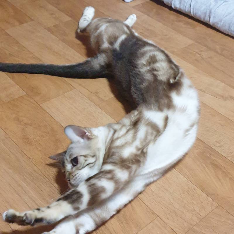 애기 모해 | 인스티즈