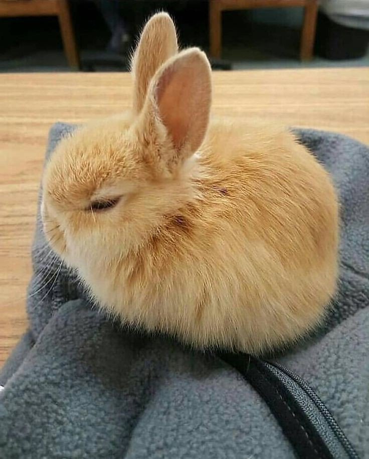 [잡담] 여기서 한유진 찾아봐 | 인스티즈