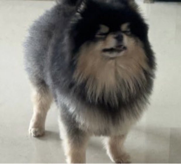 [잡담] 뷔 동생이랑 똑같이 생겼음 | 인스티즈