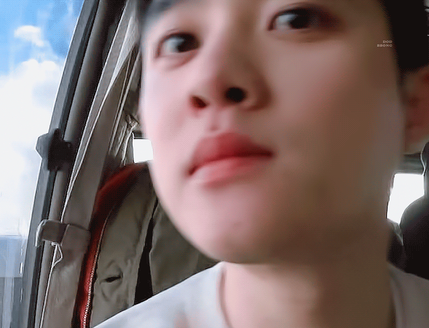 [잡담] 이 도경수 너무 펫캠에 얼굴 들이미는 🐈‍⬛같다.................. | 인스티즈