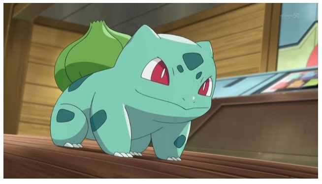 [잡담] 박건욱 그냥 이상해씨 아님 …? | 인스티즈