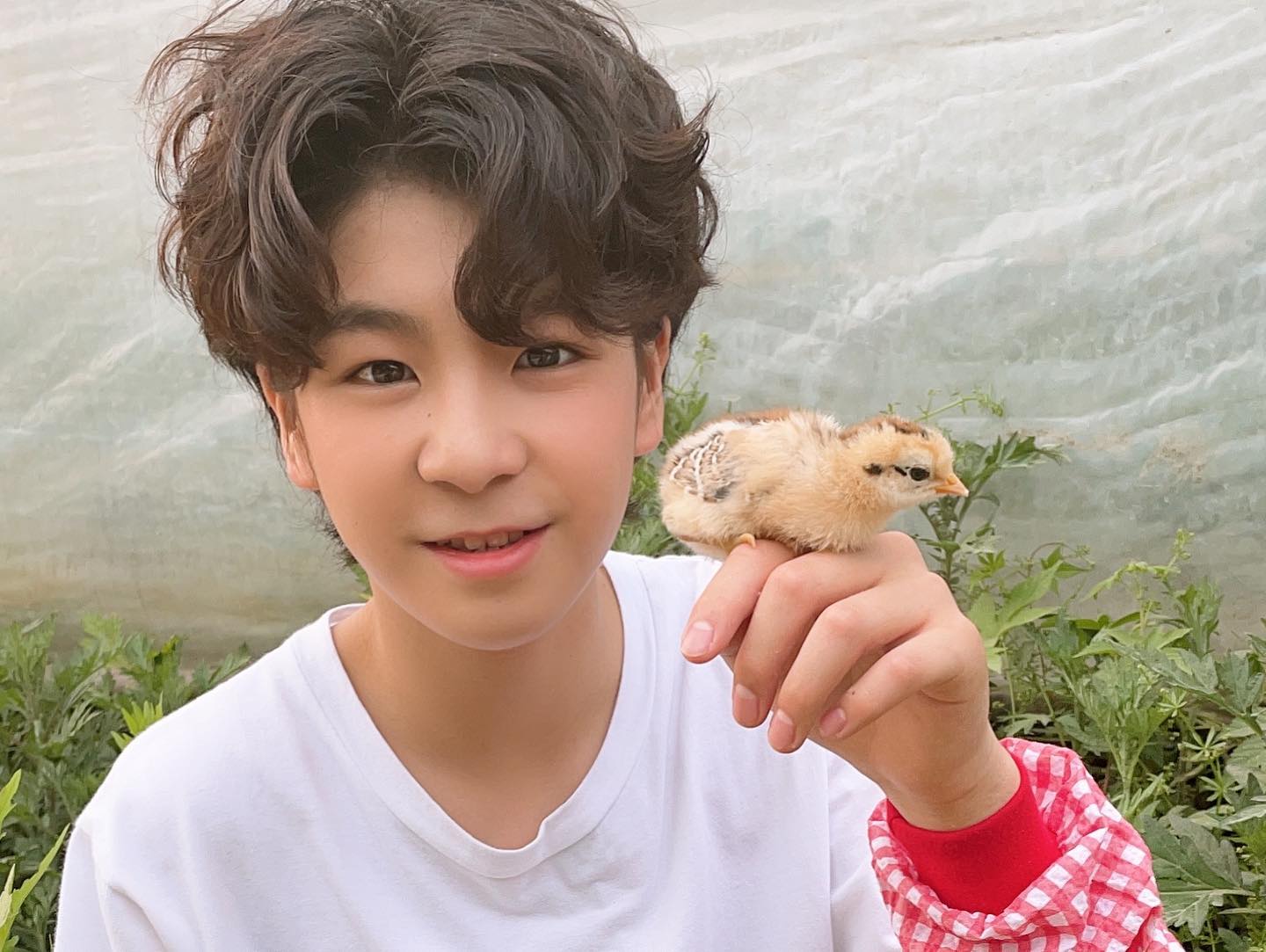 [잡담] 정동원 과거사진으로 보는 | 인스티즈