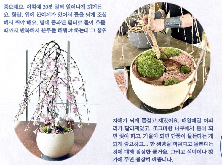 [잡담] 뭐하냐 탄소들아 지금이야 빨리 남준이 영업해보자고 | 인스티즈