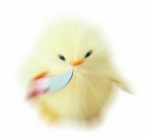 [잡담] 센터즈 어머니들 꼭 최애투표해요..우리 둘 꼭 데뷔시켜요 | 인스티즈