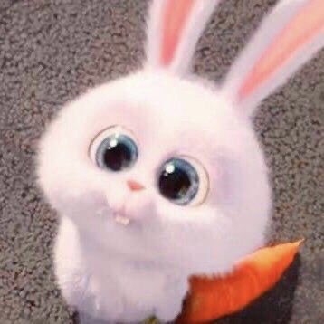 [잡담] 아니 한유진 왤케 토끼야 | 인스티즈