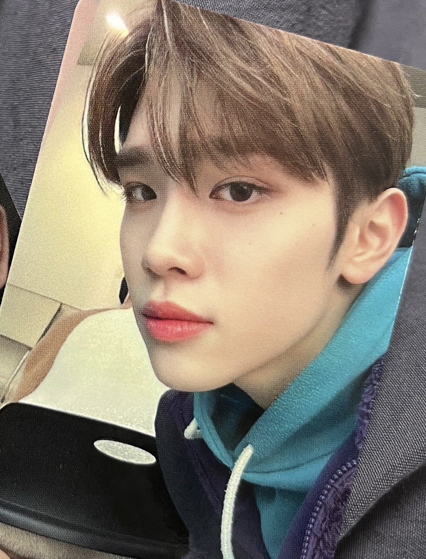 [잡담] 강아디 | 인스티즈