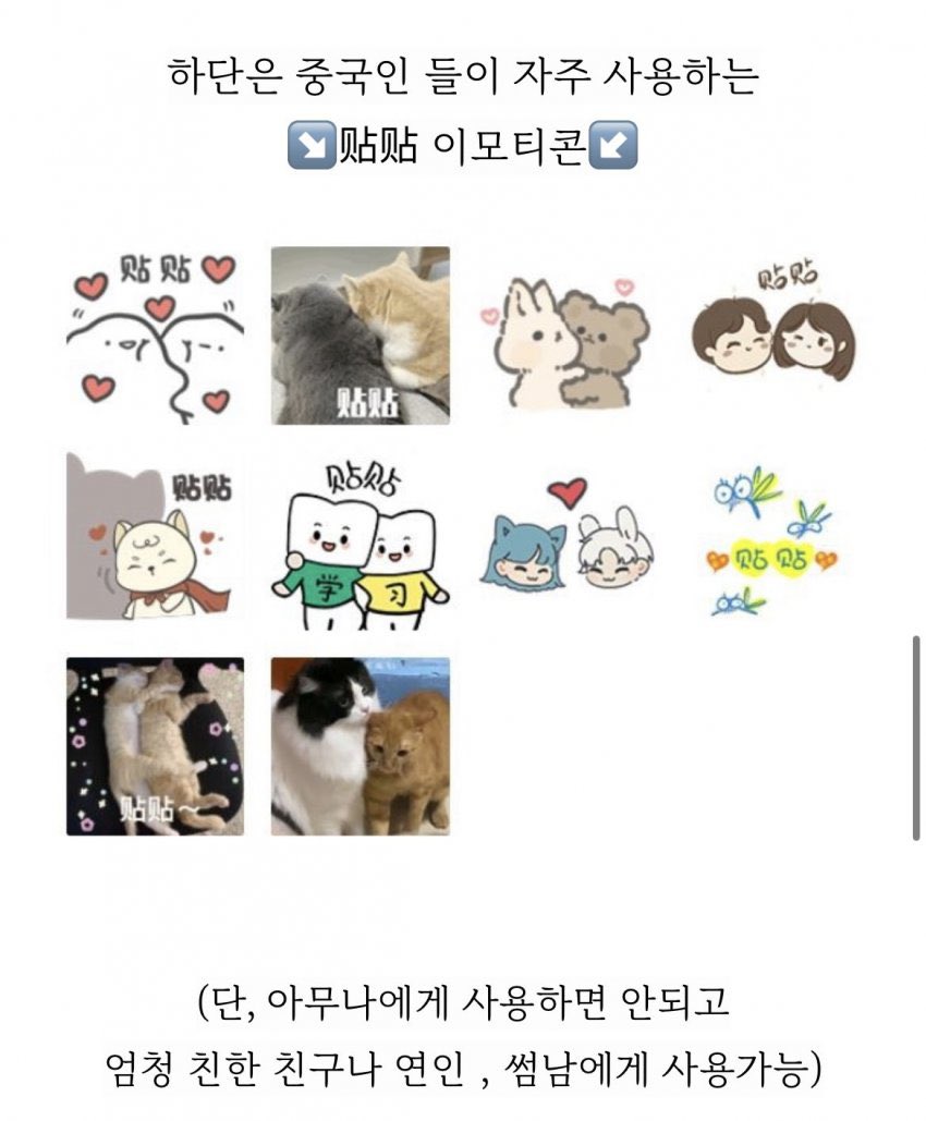 ㄱ [잡담] 티예티예 미친 점 | 인스티즈