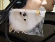 [잡담] 오늘 놀면 뭐하니에 김우석 강아지 나왔네 | 인스티즈