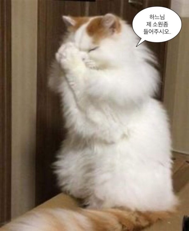 [잡담] 건욱아 제발 앙가르드에 붙어있어다오… | 인스티즈