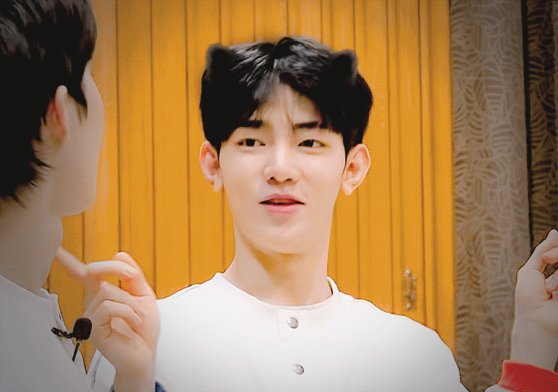 [잡담] 장하오 고양이파 없나..? | 인스티즈