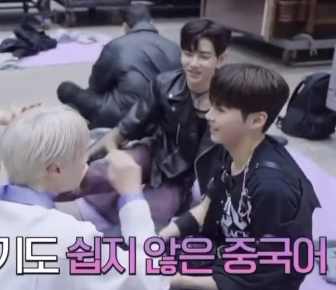 [잡담] 보플 이영상 어디 올라와있오...? | 인스티즈