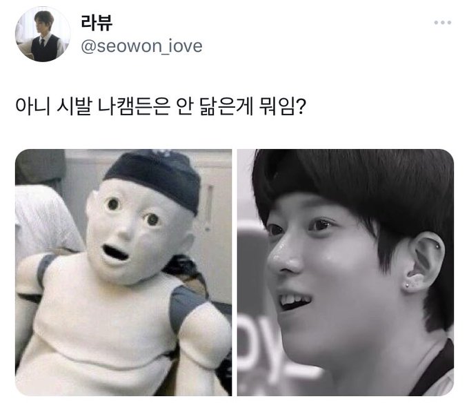[잡담] 아니 이 로봇짤 나캠든 그 자체인데 | 인스티즈