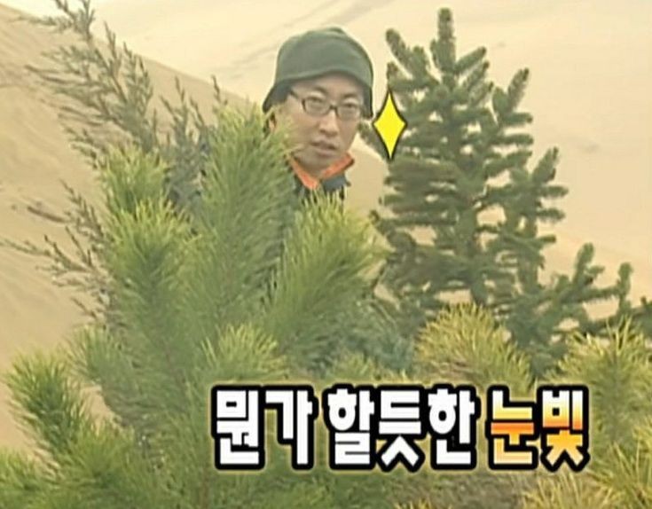 [잡담] 내 새끼 컨평 터뜨려서 3차 순발 9위 찍고 생방 사분할 떠서 8등으로 데뷔하는 상상 | 인스티즈