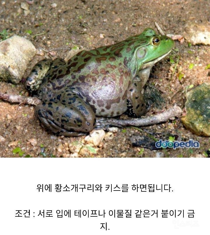 키스 1초당 100원이라면 한다vs안한다 | 인스티즈