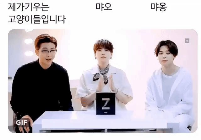 [잡담] 알엠이 키우는 방탄네 고영쓰 소개타임 봐 줄 사람 (찐 고양이들 ㄴㄴ) | 인스티즈